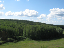 2012-07-28_10-45-38.jpg