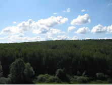 2012-07-28_10-45-49.jpg