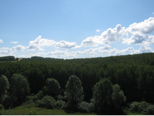 2012-07-28_10-45-54.jpg