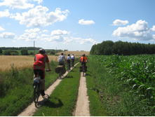 2012-07-28_11-31-10.jpg