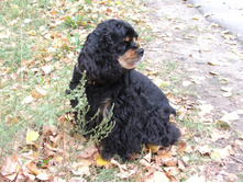 DSCF4700.JPG