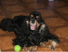 DSCF4703.JPG