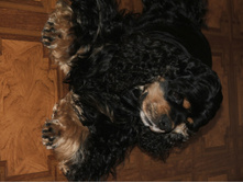 DSCF4706.JPG