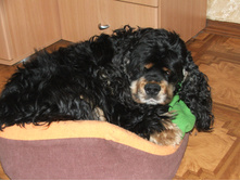 DSCF4711.JPG