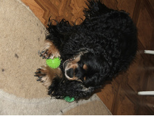 DSCF4720.JPG