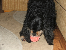 DSCF4723.JPG
