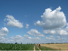 2012-07-28_11-31-14.jpg