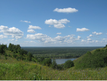 2012-07-28_11-55-08.jpg