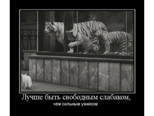 16.03.2010 11:08:39
