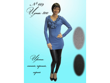 669.jpg