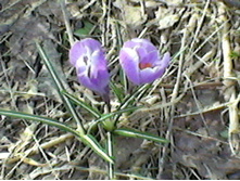 03.04.2013 16:30:27