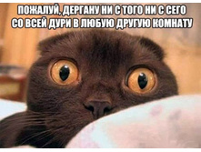 03.04.2013 16:49:02