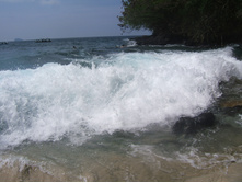 DSCF7405.JPG