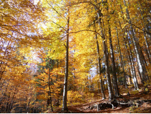 DSCN2337.JPG