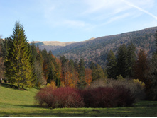 DSCN2348.JPG