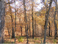 DSCN2455.JPG