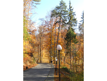 DSCN2460.JPG