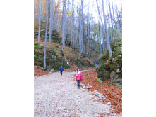 DSCN2466.JPG