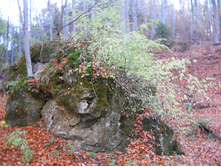 DSCN2467.JPG