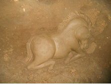 DSCN2495.JPG