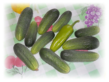 DSCN5302.JPG