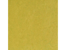 LIME.jpg
