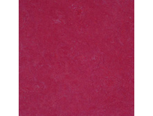 RASPBERRY.jpg
