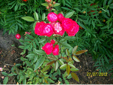 100_5176.jpg