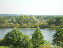 getImage (17).jpg