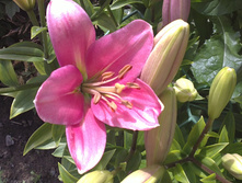 07072012071.JPG