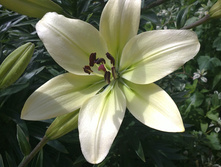 07072012072.JPG