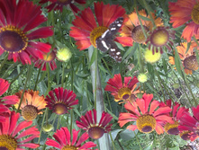 07072012079.JPG