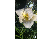 19072012087.JPG