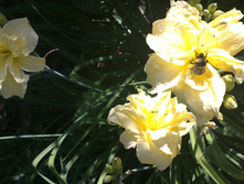 19072012096.JPG