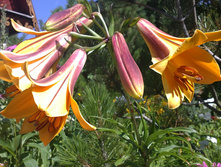 22072012098.JPG