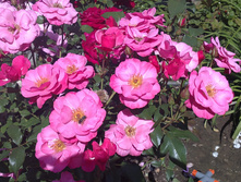 28072012125.JPG