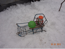 DSC00512.JPG