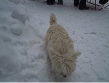 IMG 026.jpg