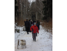 IMG 042.jpg