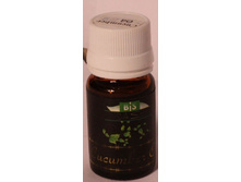 ��������� ����� (Cucumber Oil)
