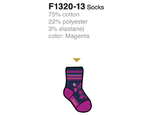F1320-13.png