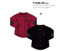 F1336-09.png