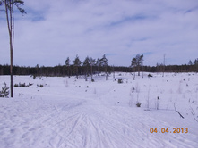 DSCN2074.JPG