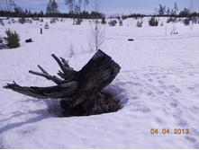 DSCN2077.JPG