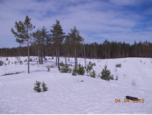 DSCN2078.JPG