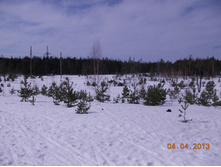 DSCN2083.JPG