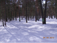 DSCN2086.JPG
