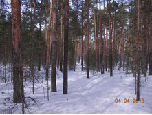 DSCN2091.JPG