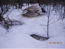 DSCN2100.JPG