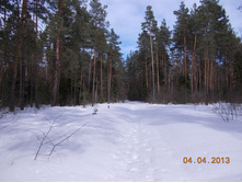 DSCN2101.JPG